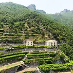 Limoneto Di Ercole