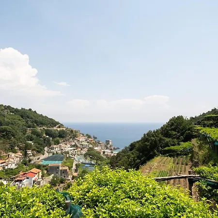 Limoneto Di Ercole Apartamento *