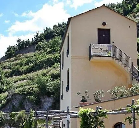 Limoneto Di Ercole * Maiori